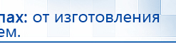 ДЭНАС - Аппликатор купить в Соликамске, Электроды Дэнас купить в Соликамске, Дэнас официальный сайт denasdoctor.ru